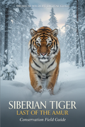 Siberian tiger guide cover